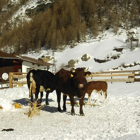 Gasthof S'jechlas 3*