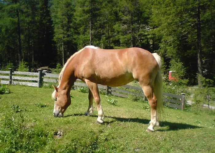 S'jechlas Affittacamere