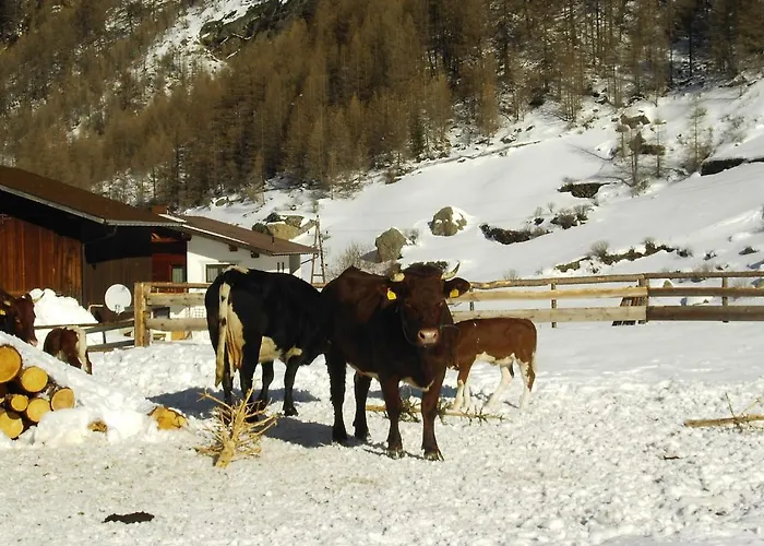 Affittacamere S'jechlas 3*