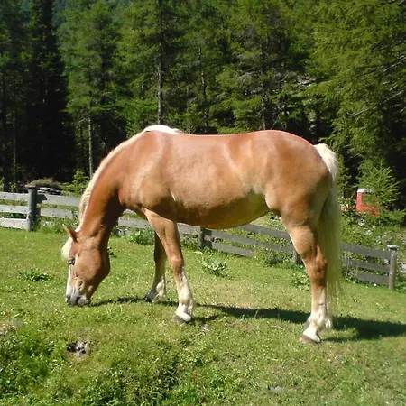 S'jechlas בית הארחה